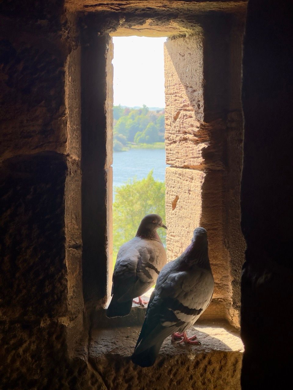 Linlithgow Palace IMG 6348 Large