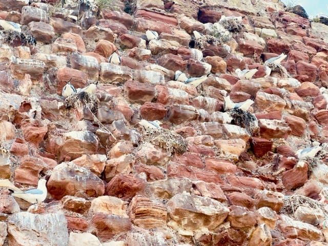 Dunbar castle Dunbar castle
