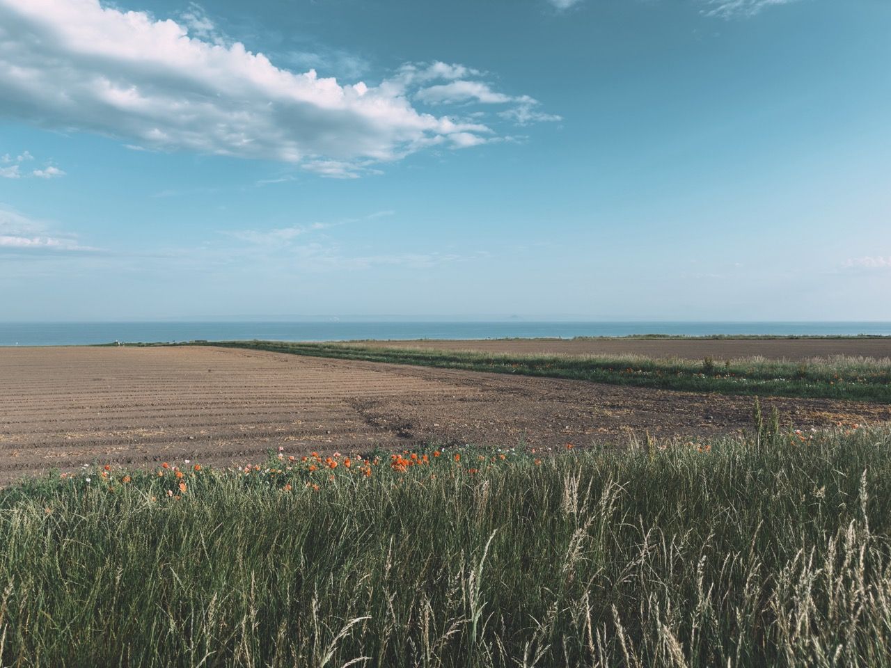 Anstruther June 2025 2 Large 2