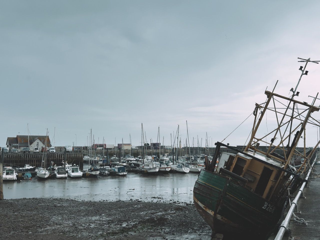 Anstruther June 2025 4 Large 2