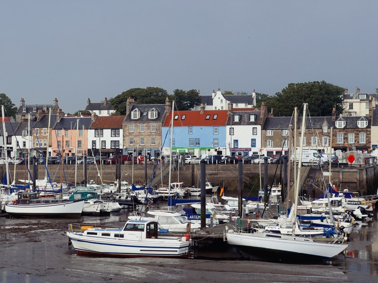 Anstruther June 2025 6 Large 2