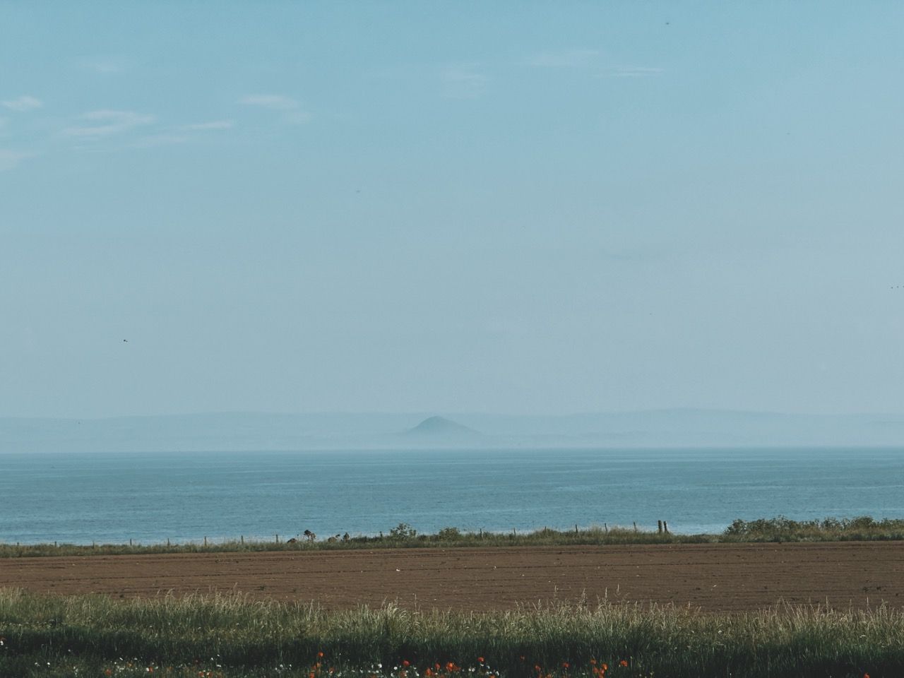 Anstruther June 2025 7 Large 2