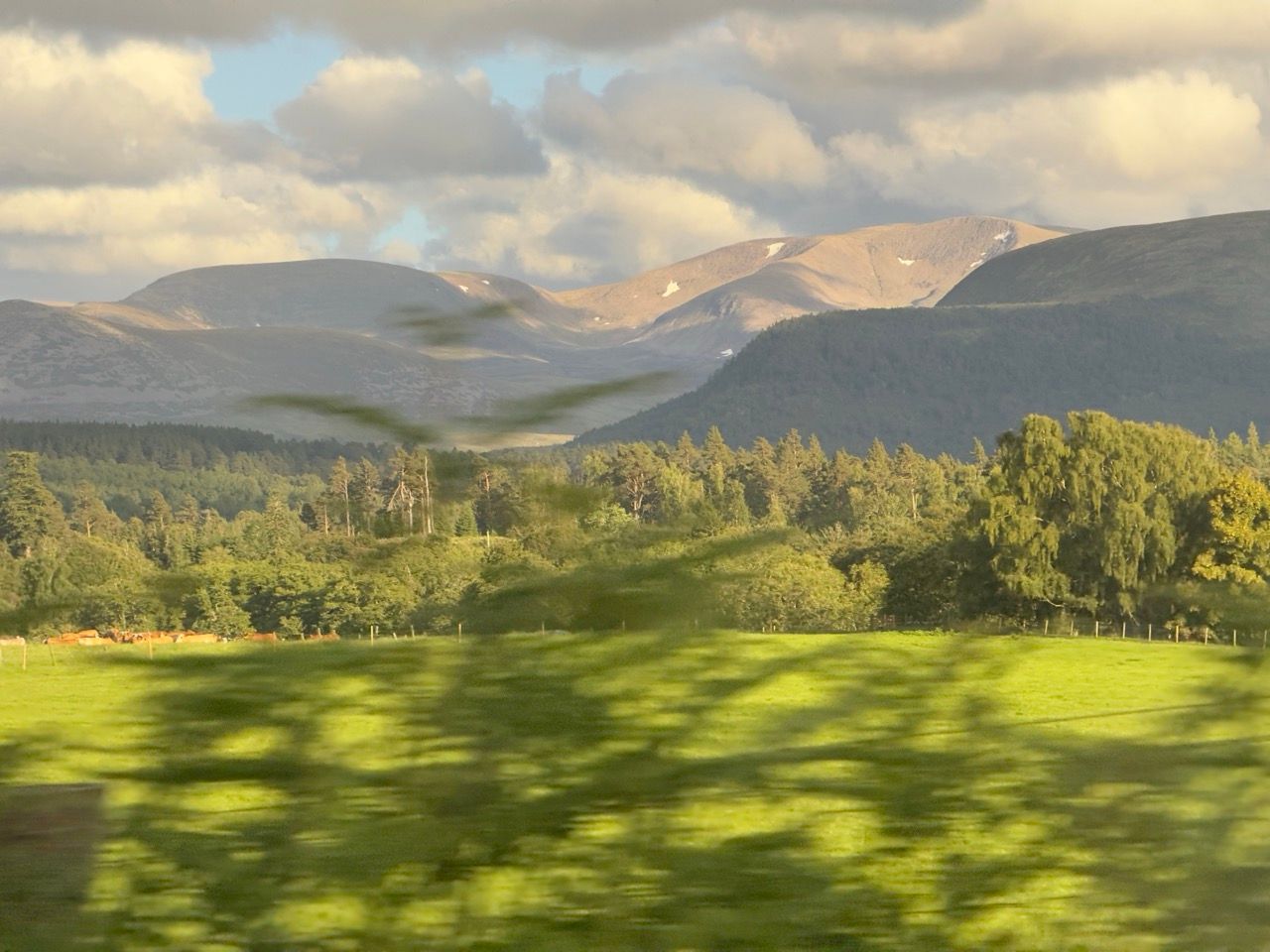 Aviemore Edinburgh Inverness train June 26 Large