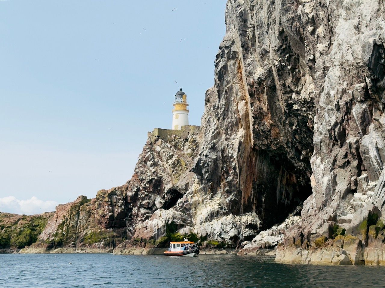 Bass Rock North Berwick June 25 4 Large