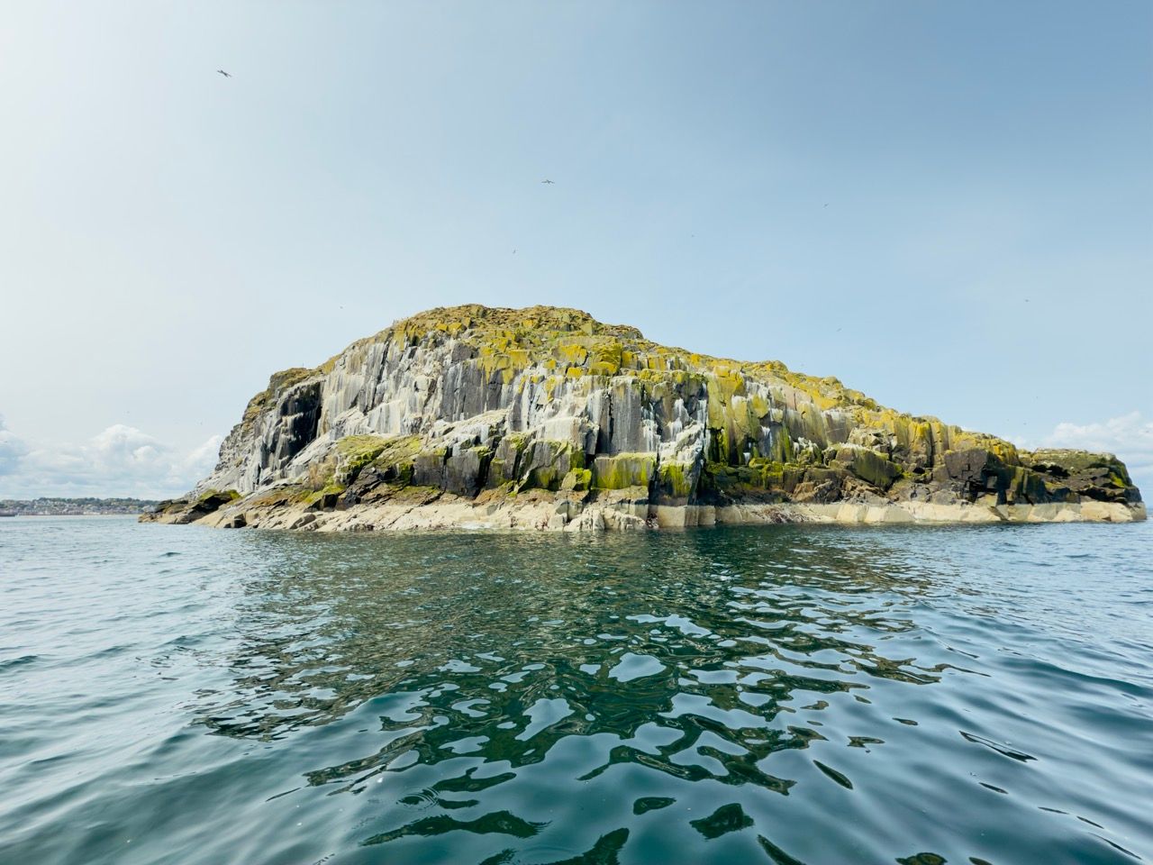 Craigleith Island North Berwick June 25 1 Large