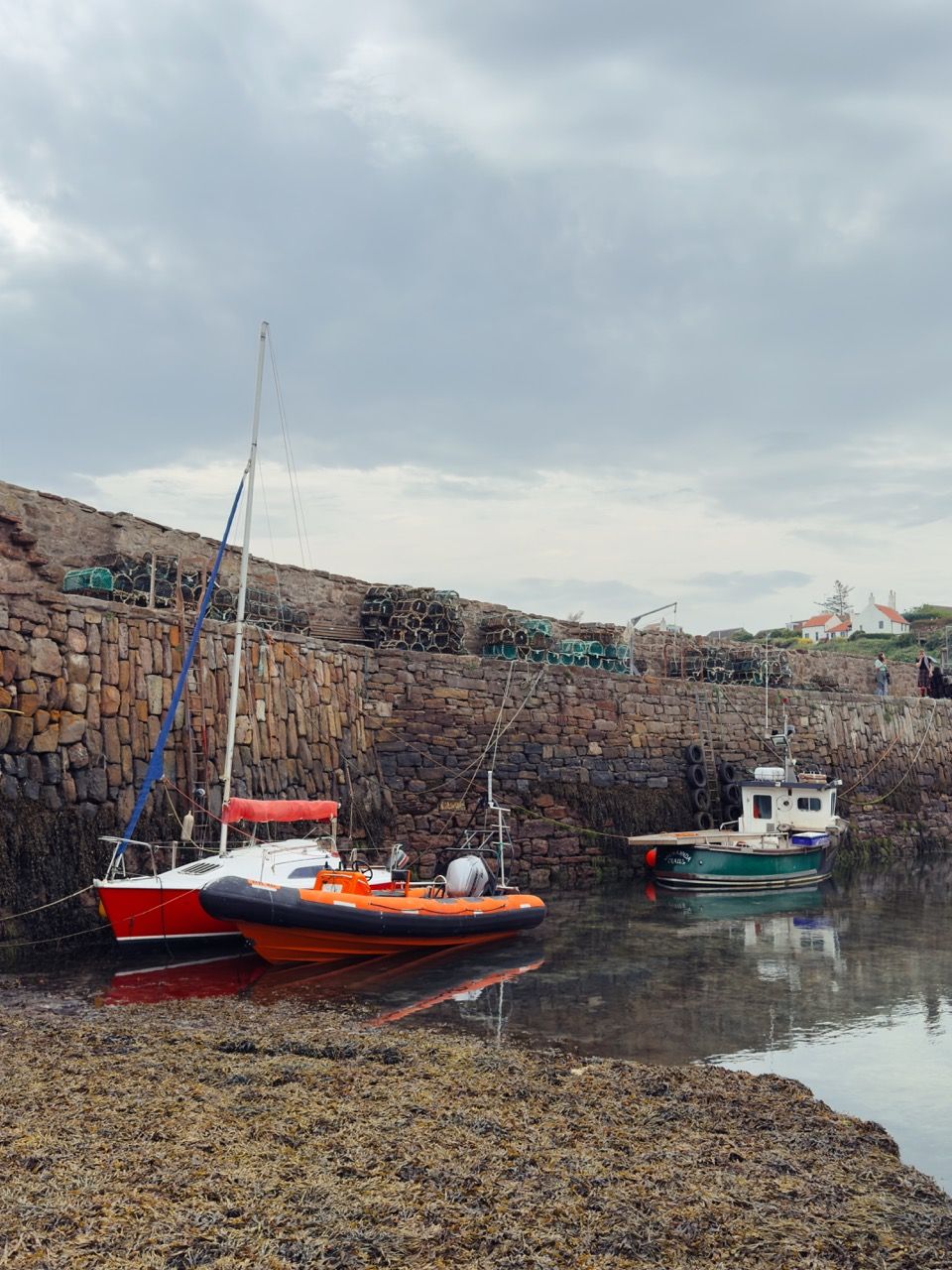 Crail Habour June 2025 1 Large 1