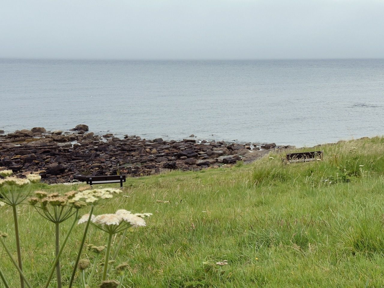 Crail June 2025 5 Large 1