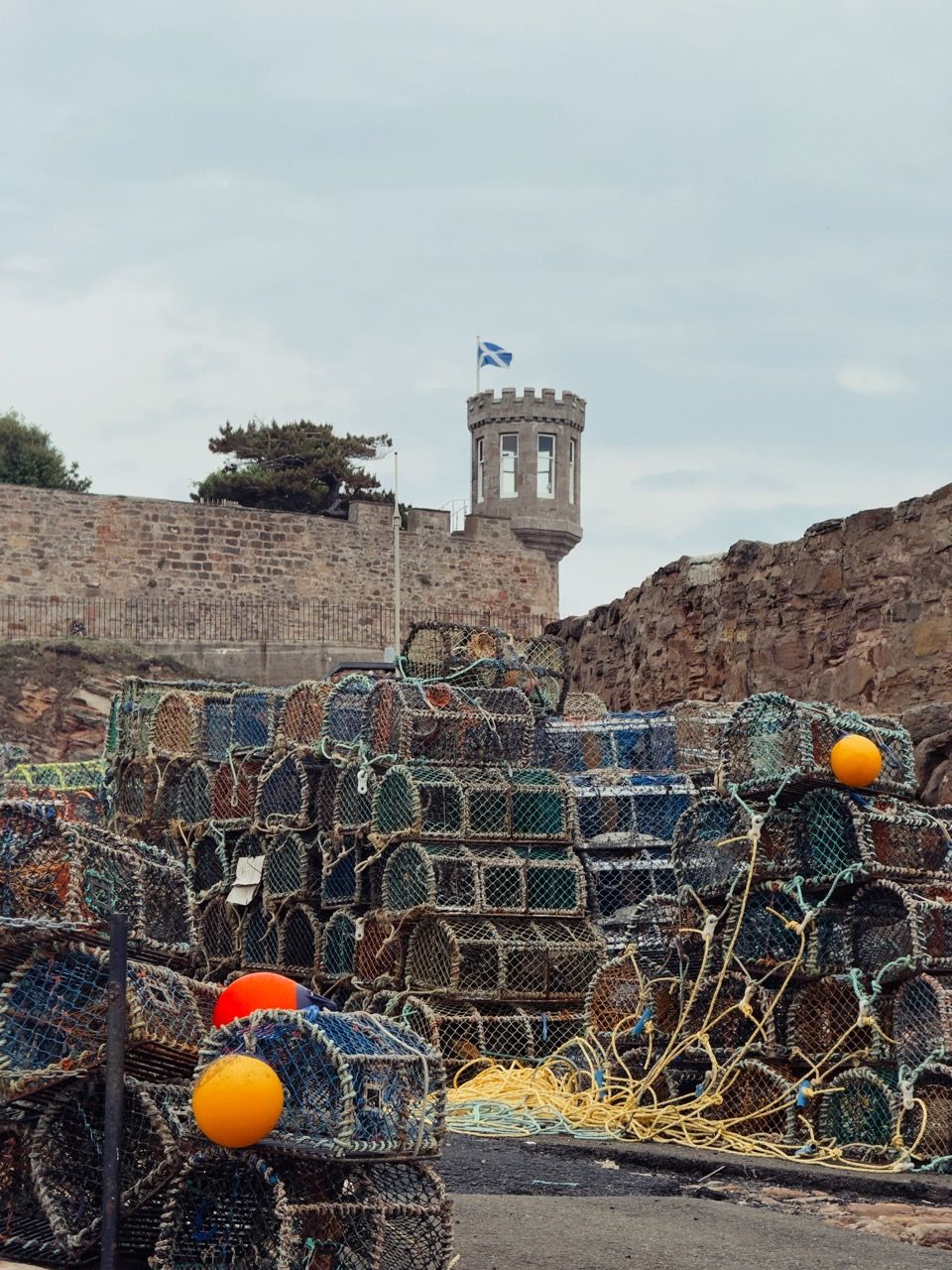 Crail June 2025 7 Large 1