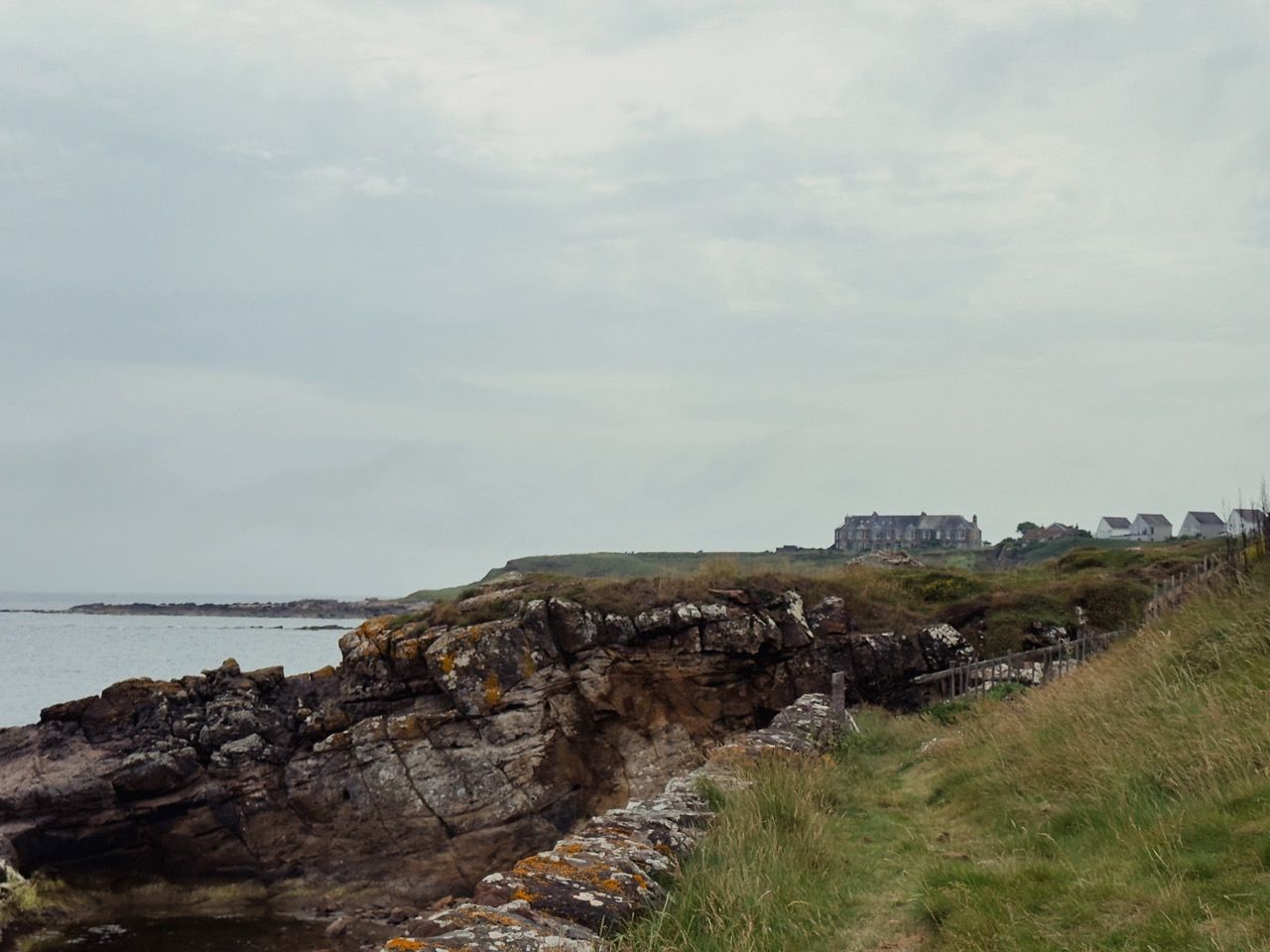 Crail June 2025 8 Large 1