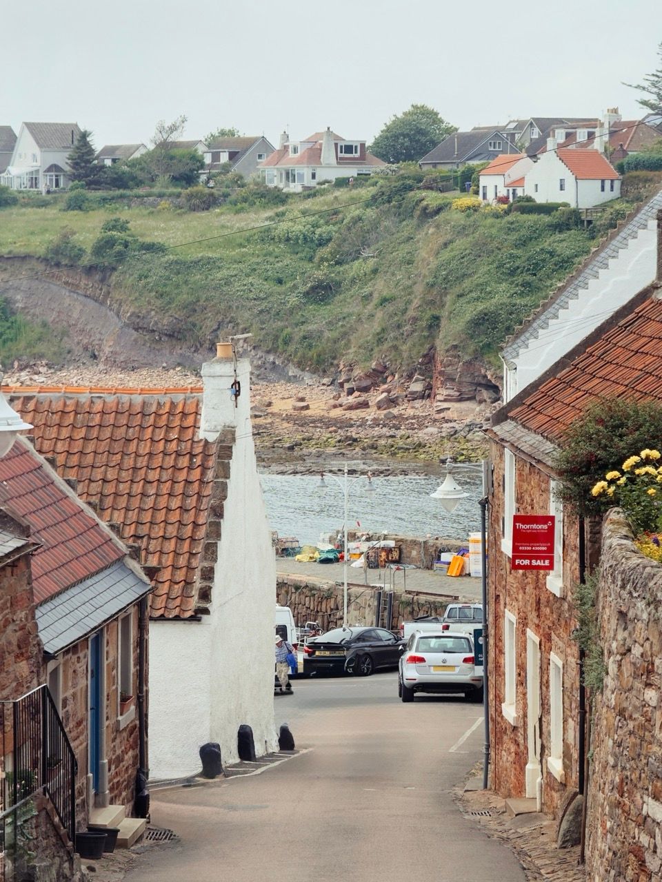 Crail June 2025 9 Large 1