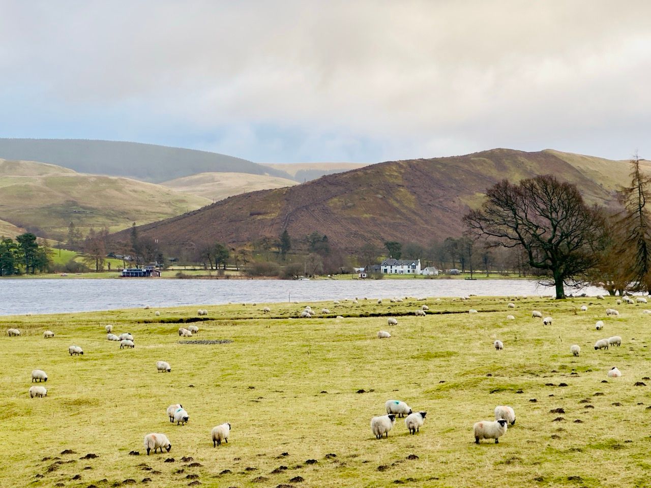 Dec 24 Grey Mare Tail 11 Large