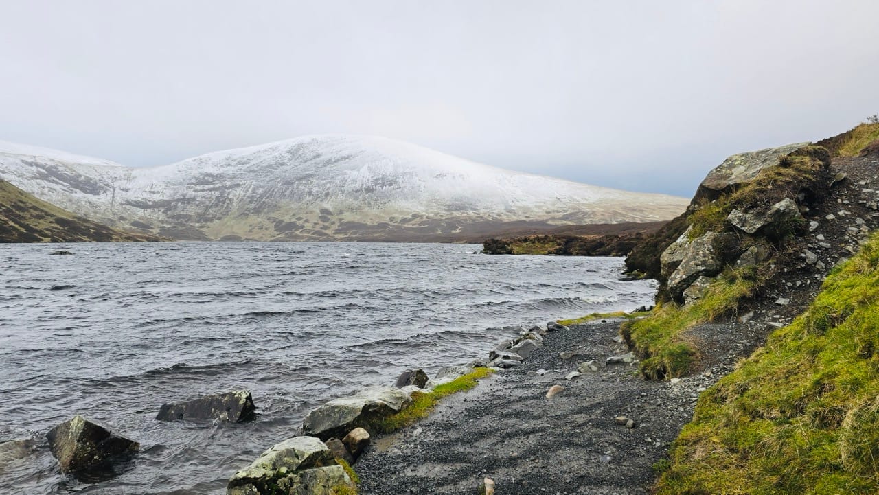 Dec 24 Grey Mare Tail 13 Large
