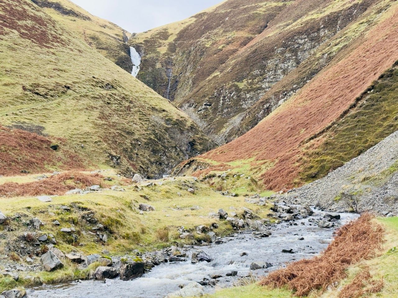 Dec 24 Grey Mare Tail 2 Large