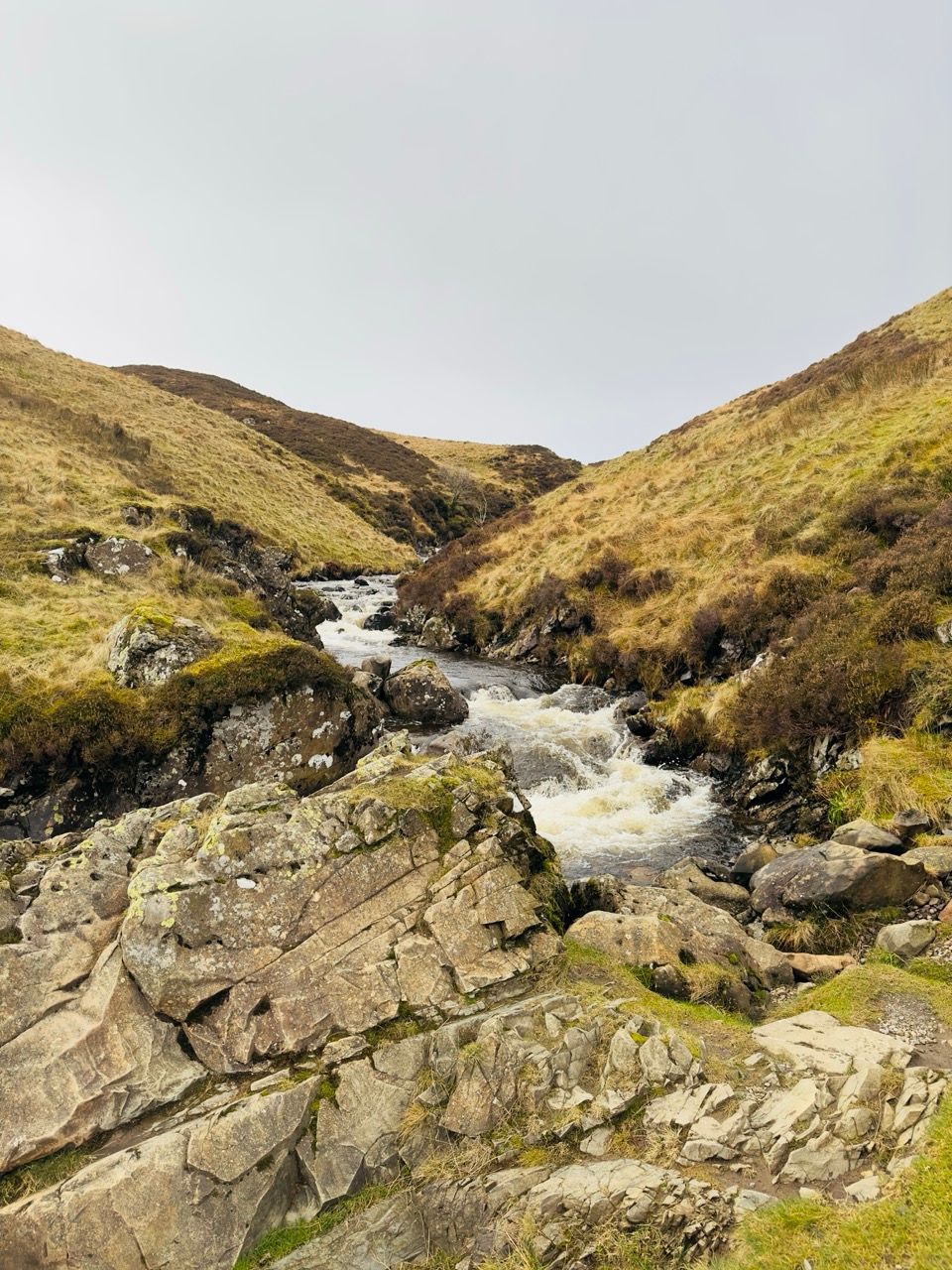 Dec 24 Grey Mare Tail 5 Large