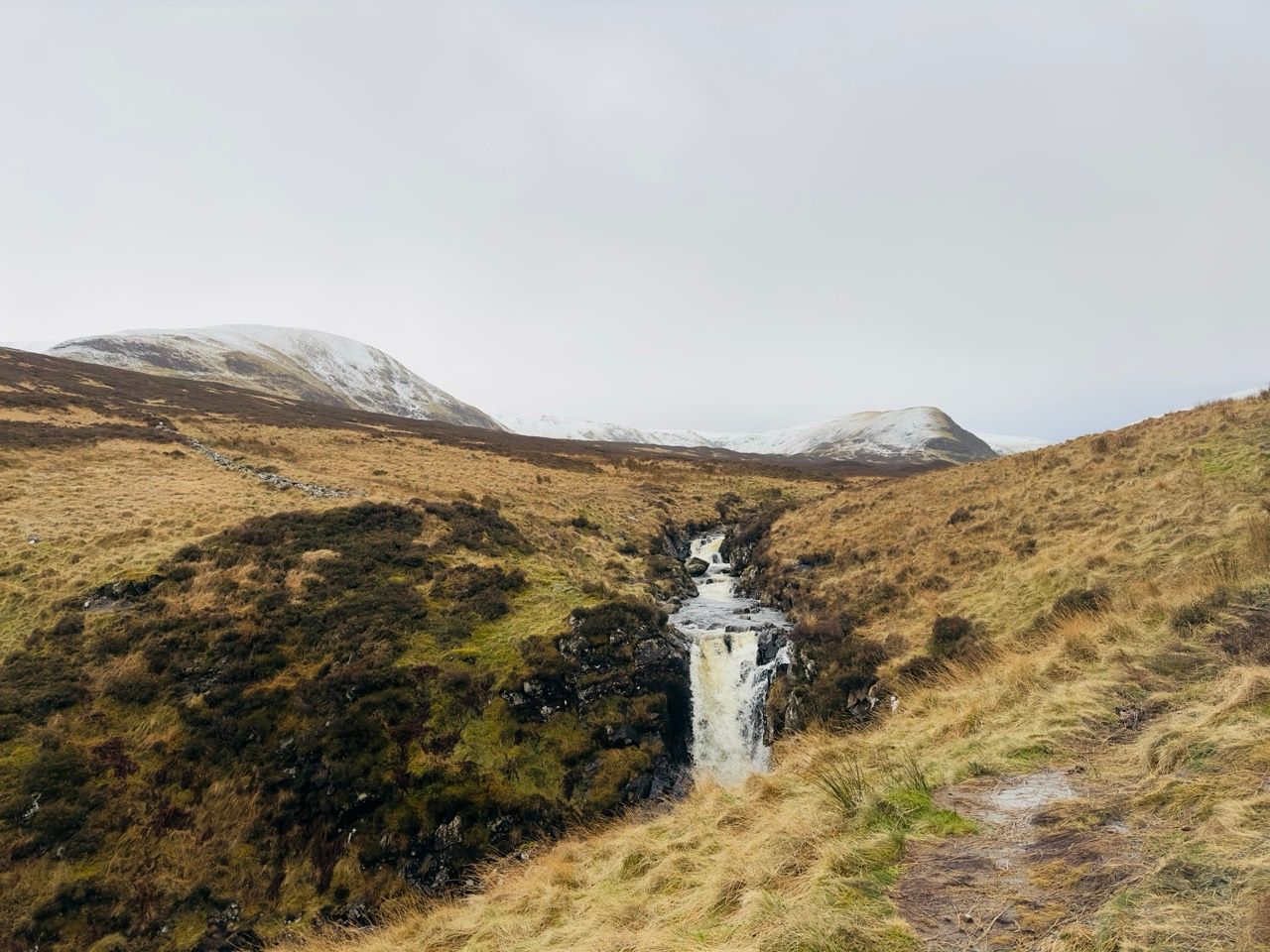 Dec 24 Grey Mare Tail 6 Large