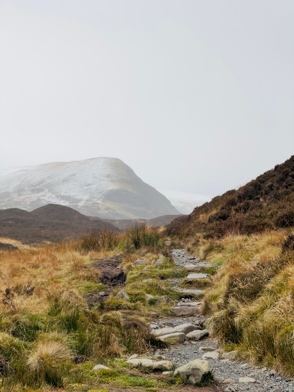 Dec 24 Grey Mare Tail 7 Large