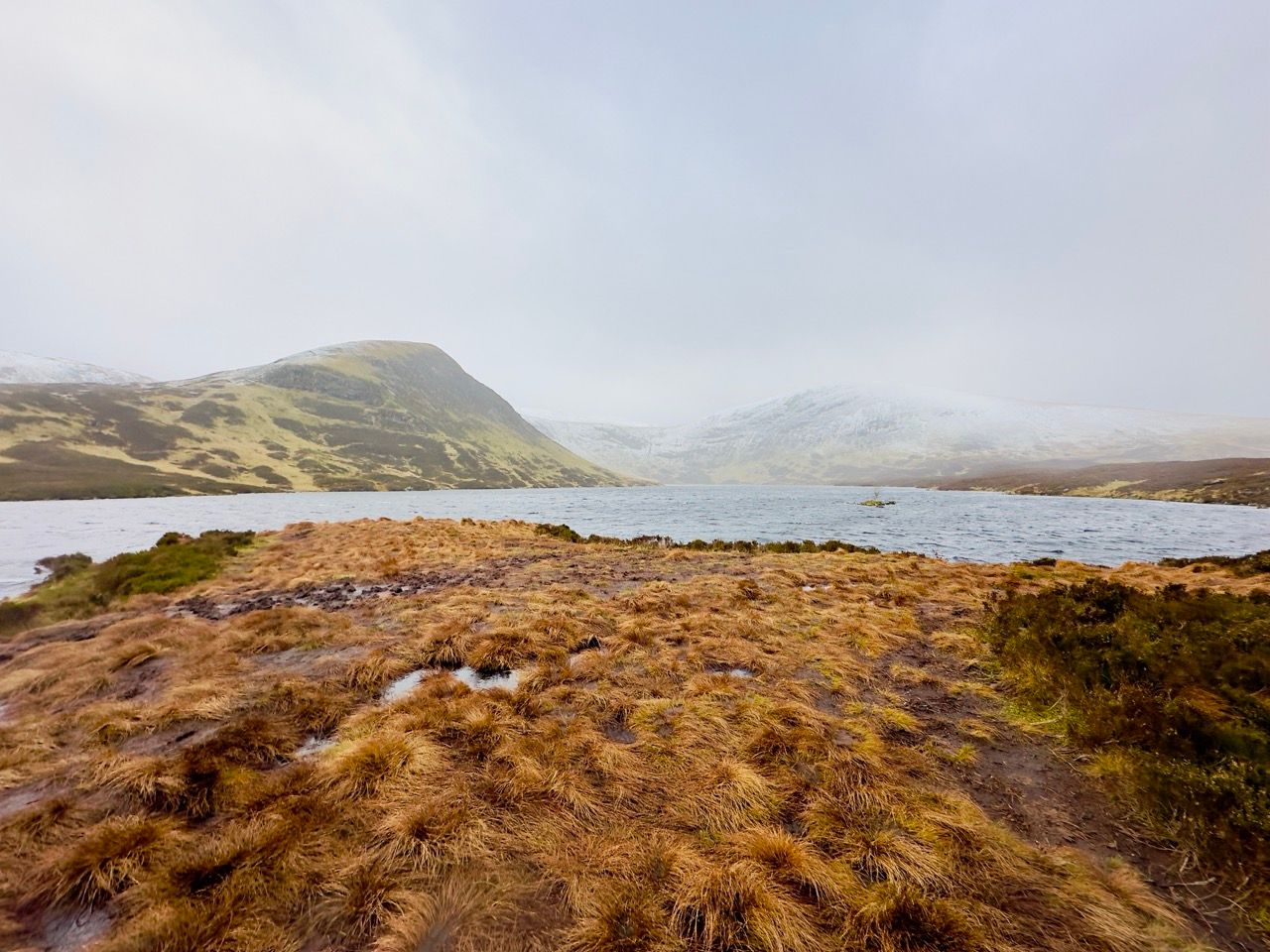Dec 24 Grey Mare Tail 9 Large