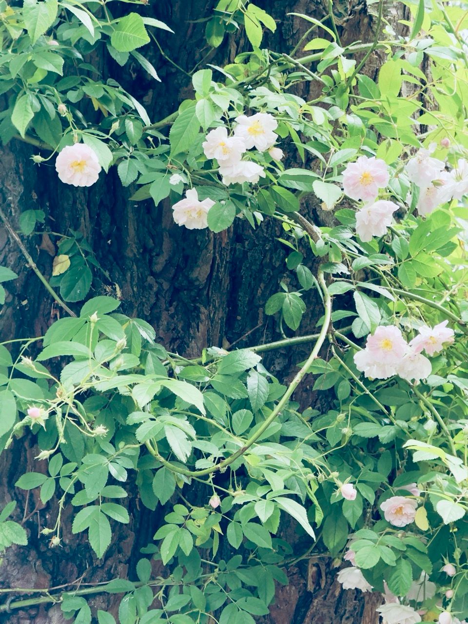 Dr Neil Garden June 25 6 Large