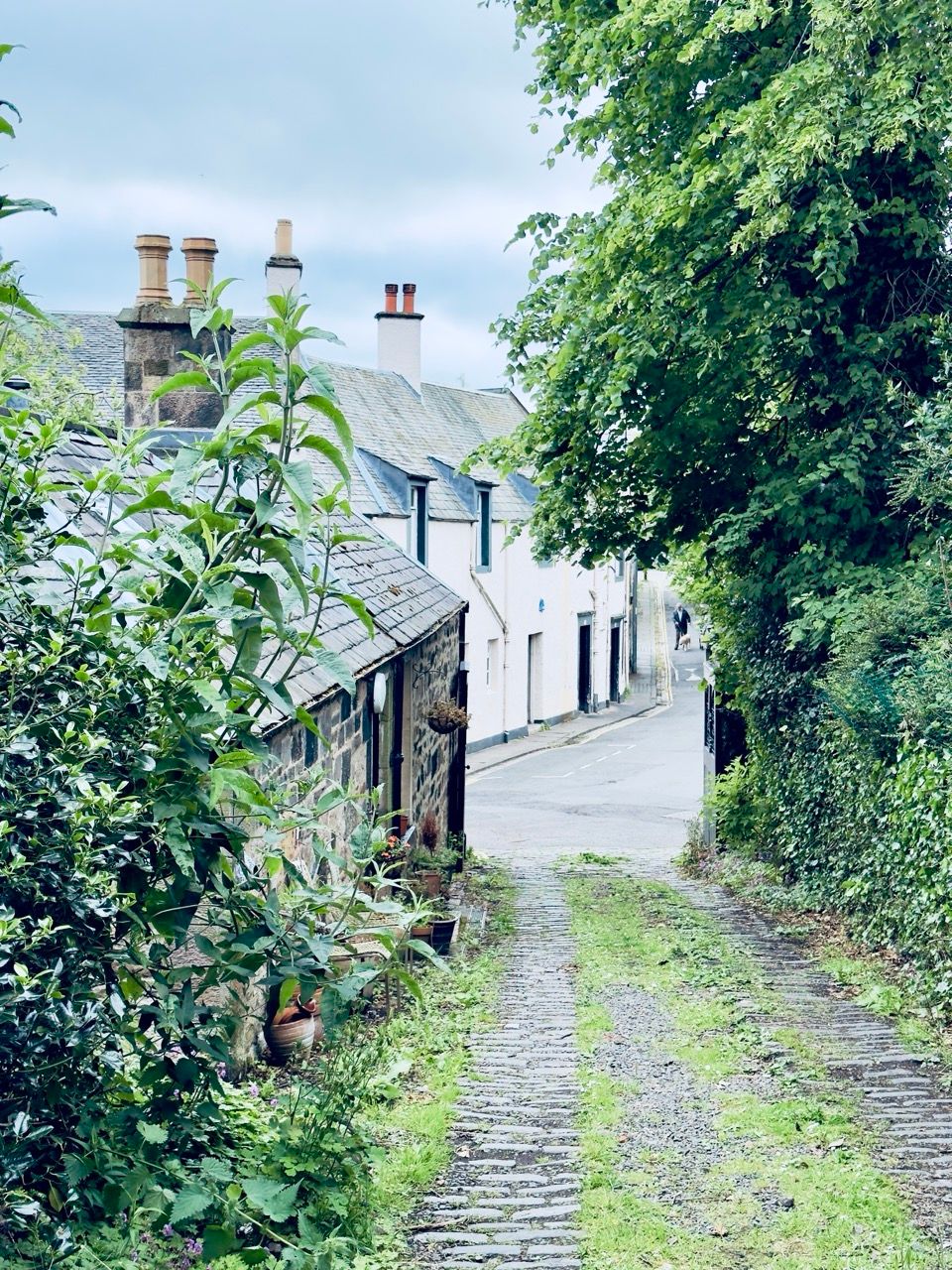 Duddingston village June 25 1 Large