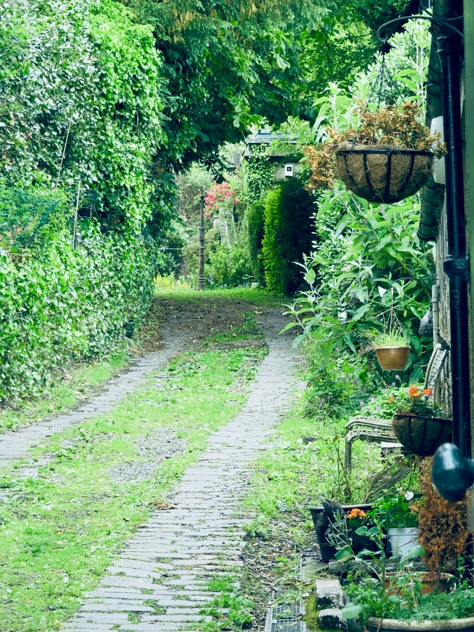 Duddingston village June 25 Large