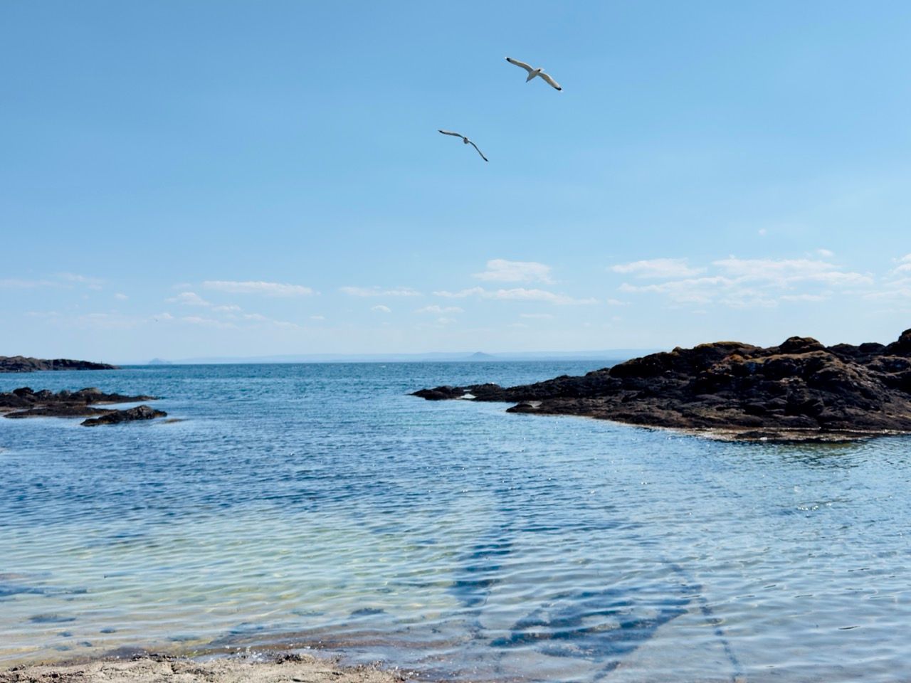 Elie Fife May 2025 4 Large