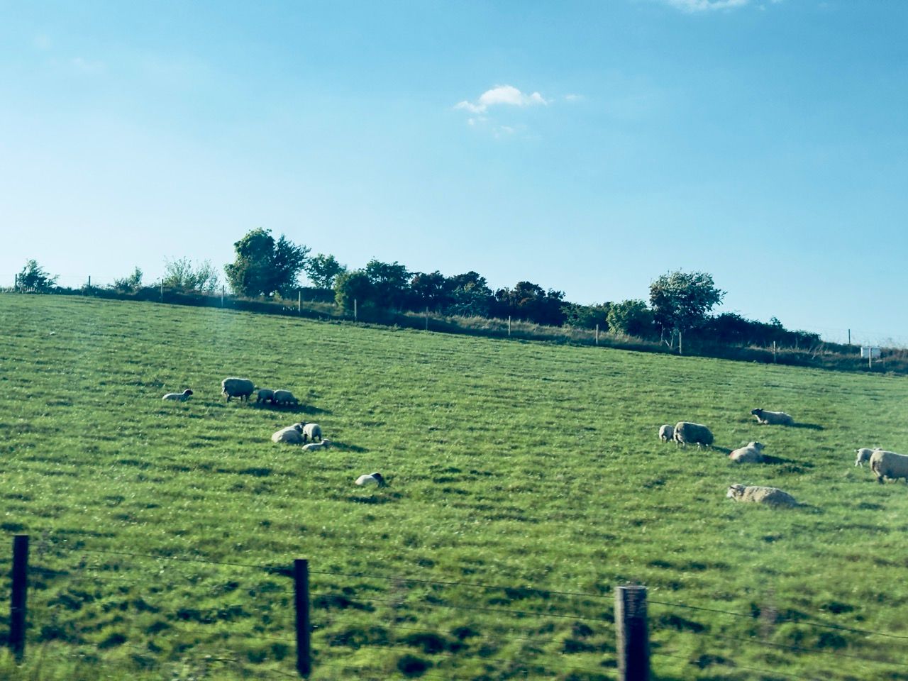 Elie Fife on the bus May 2025 1 Large