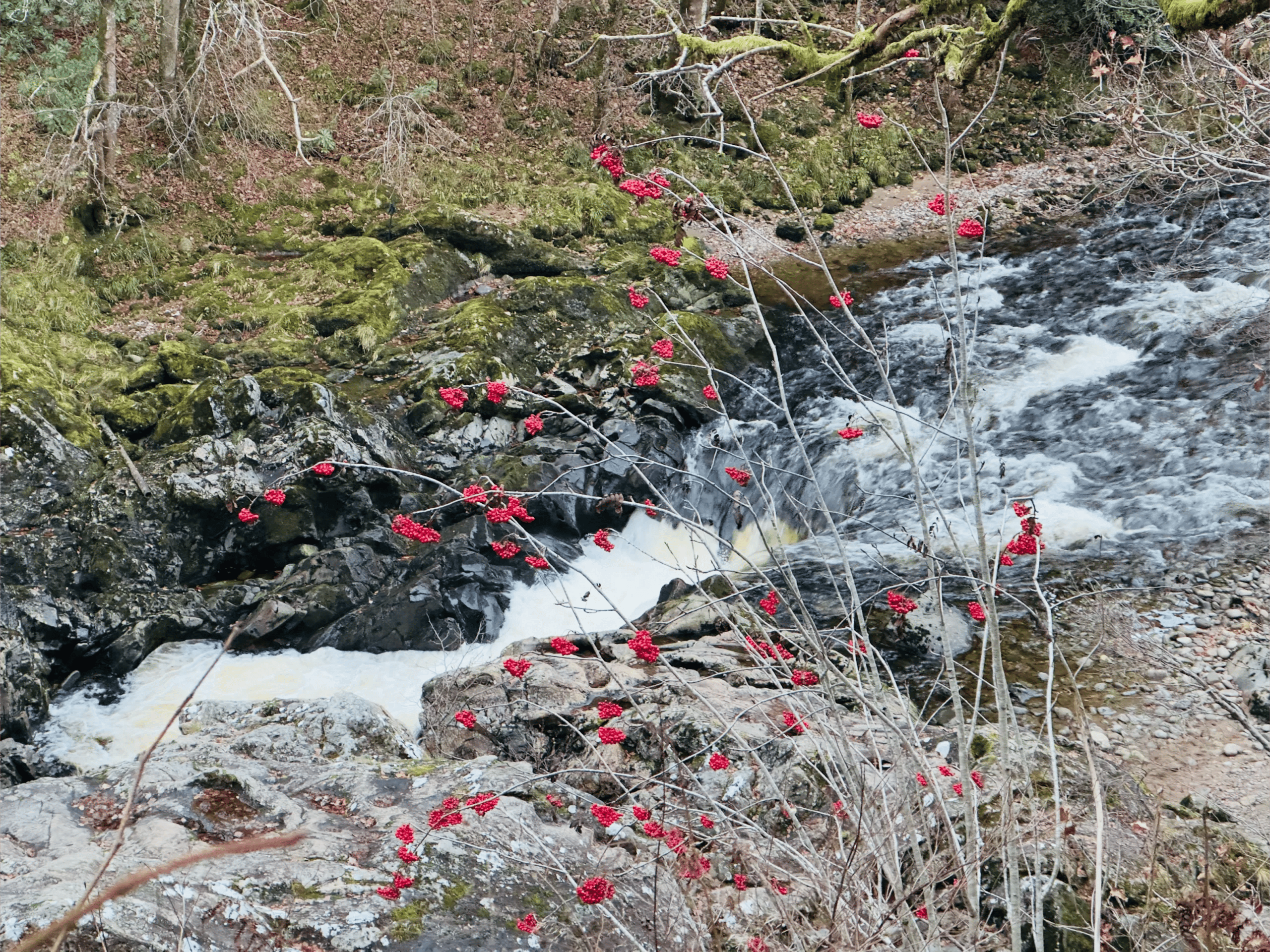 Killiecrankie Pitlochry autumn November 22 scaled