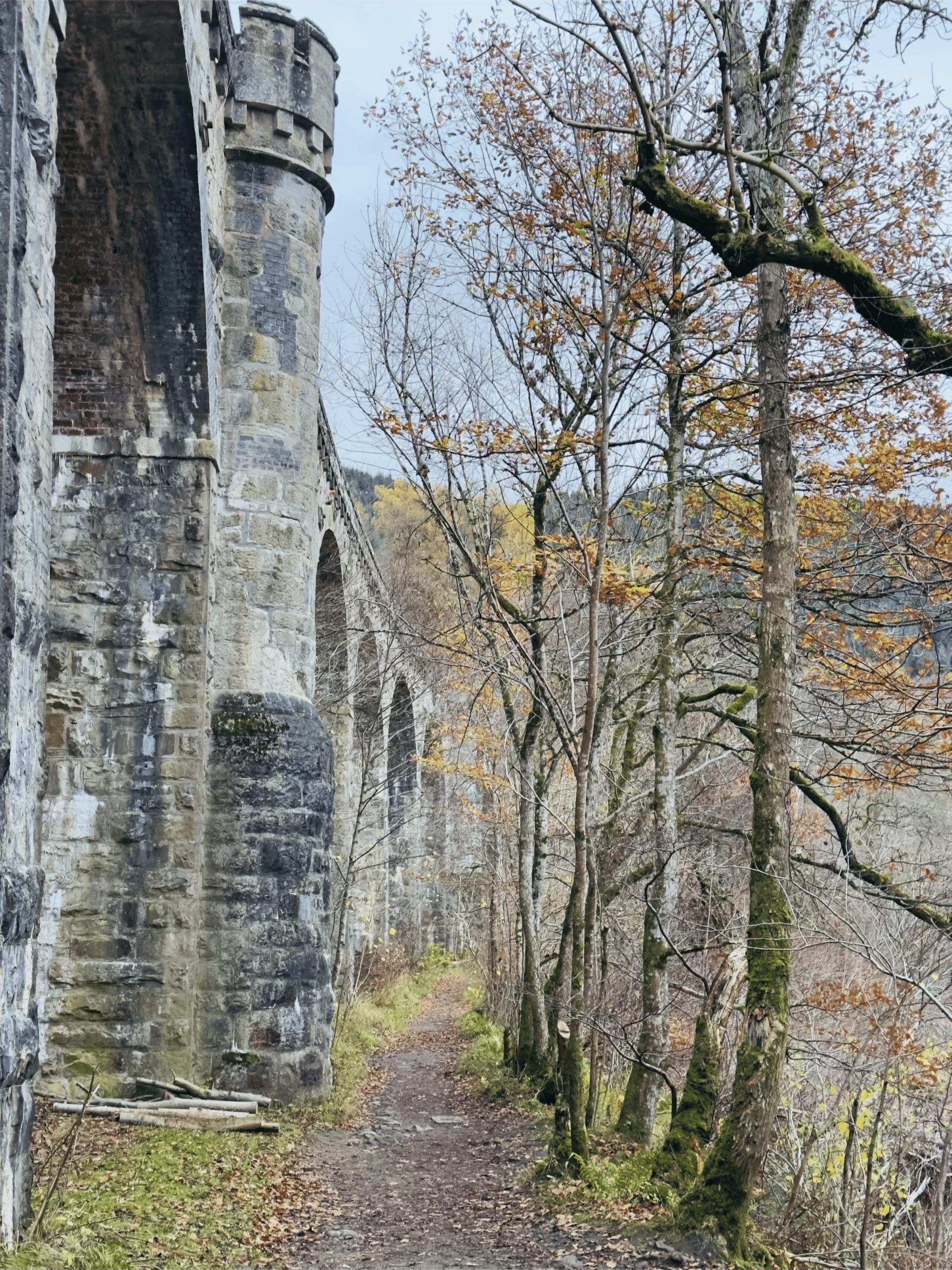 Killiecrankie Pitlochry autumn November 23 scaled