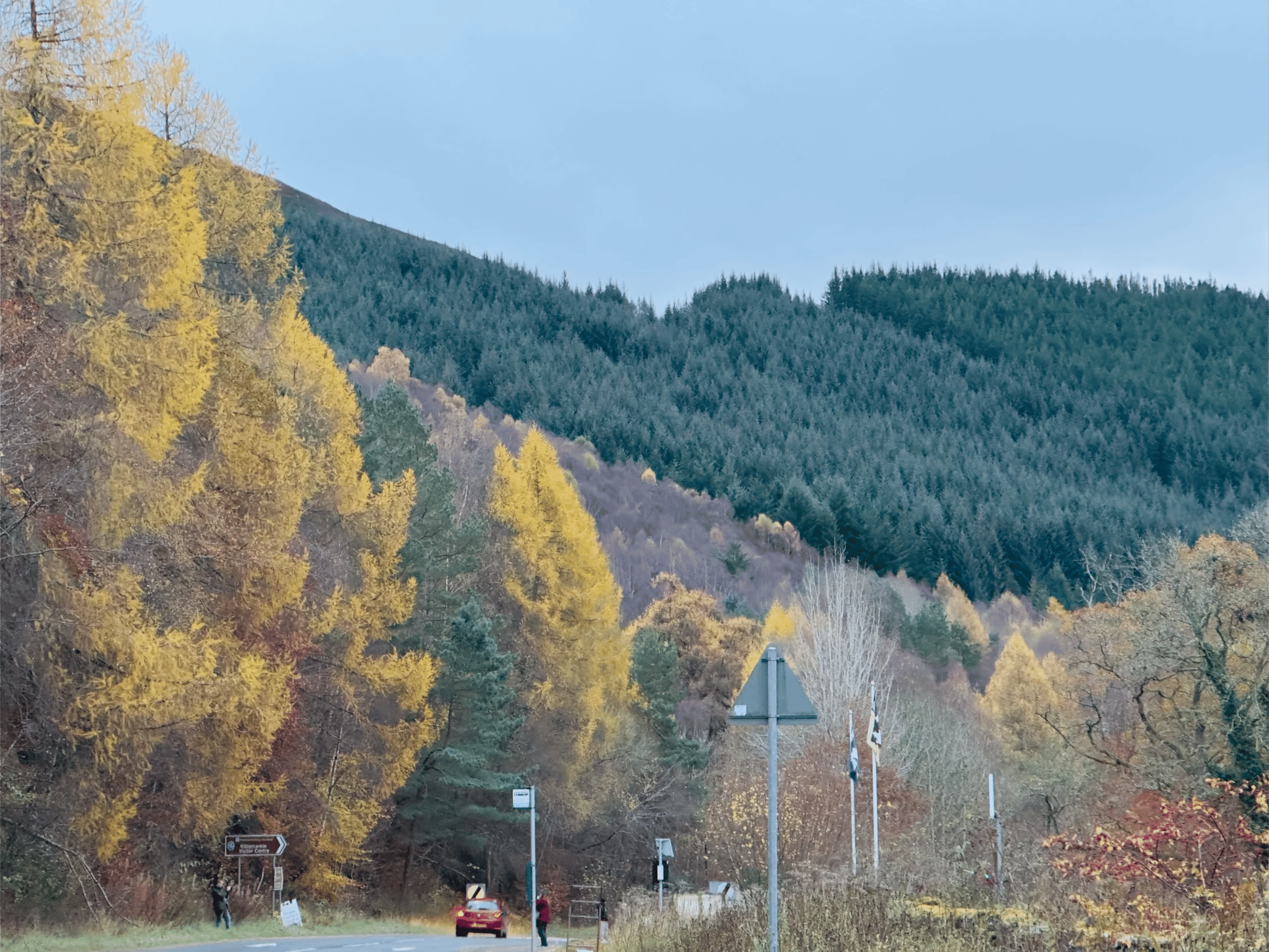 Killiecrankie Pitlochry autumn November 24 scaled