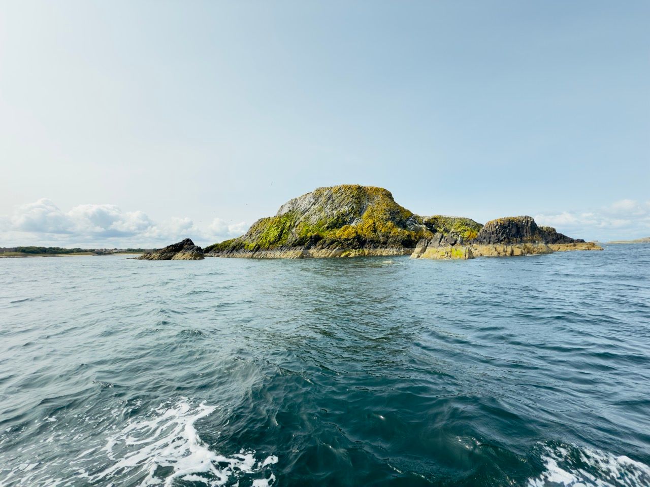 Lamb Island North Berwick June 25 Large