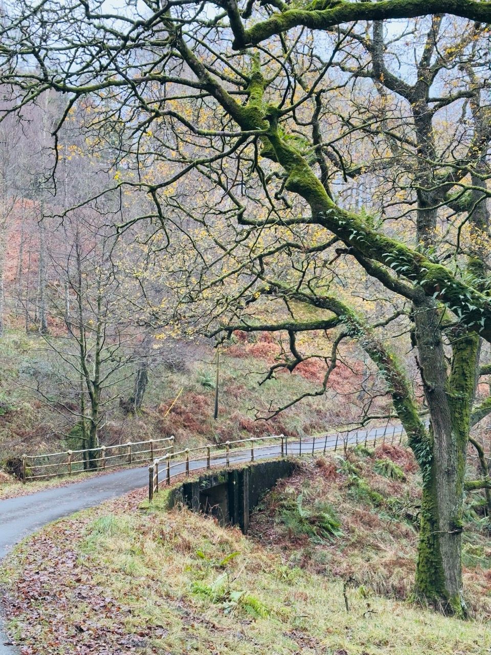 Loch Katrine Dec 24 2 Large