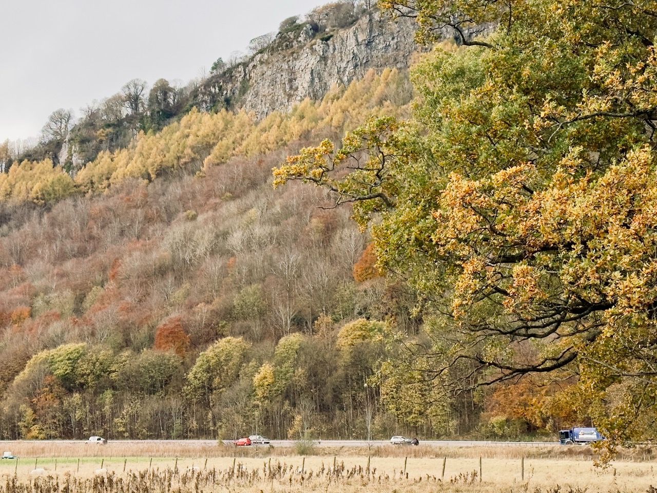 Perth Kinfauns autumn Nov mountain set 1 Large
