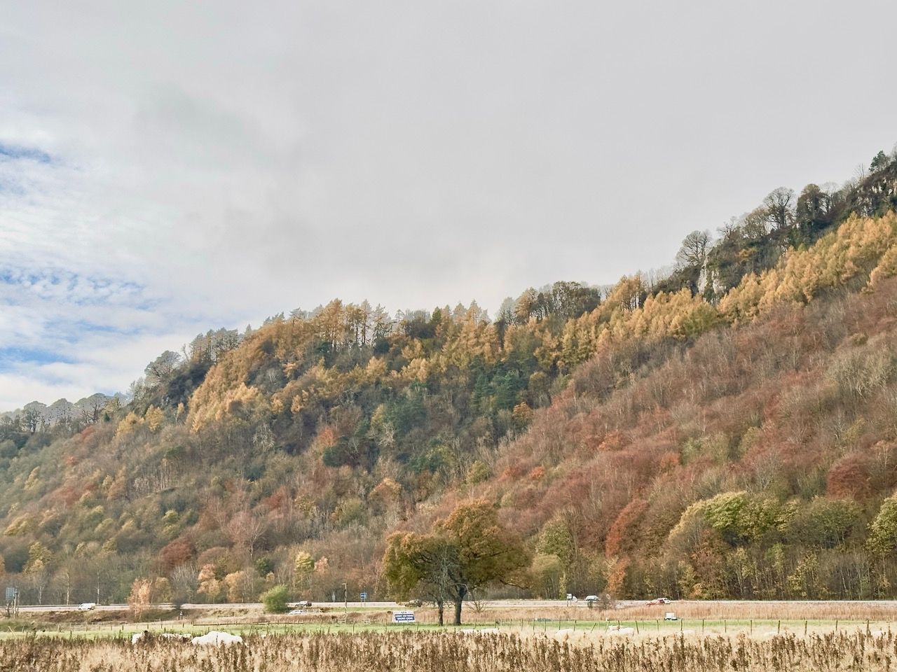 Perth Kinfauns autumn Nov mountain set 2 Large