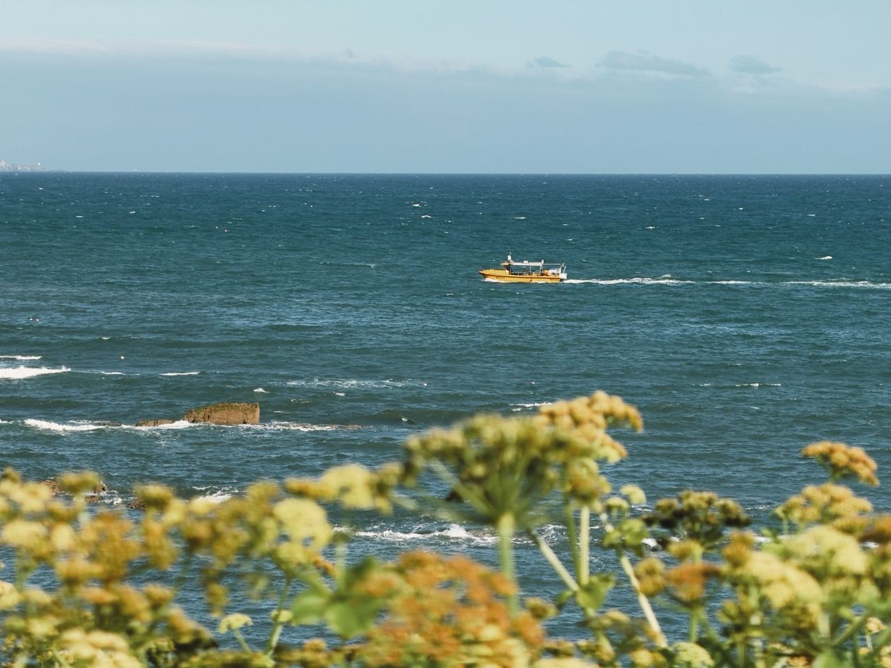 Pittenweem May 2025 1