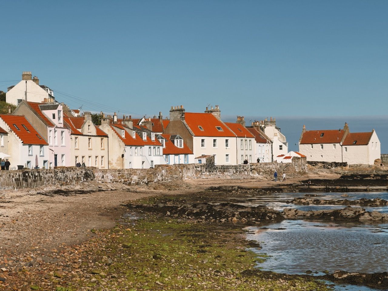Pittenweem May 2025 19 Large