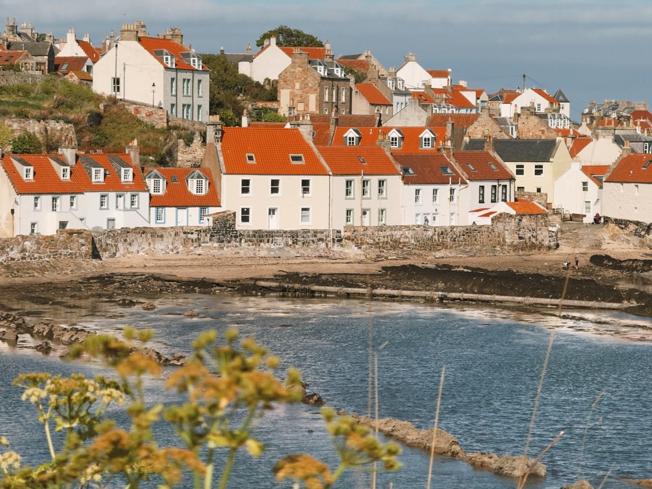 Pittenweem May 2025 4 Large