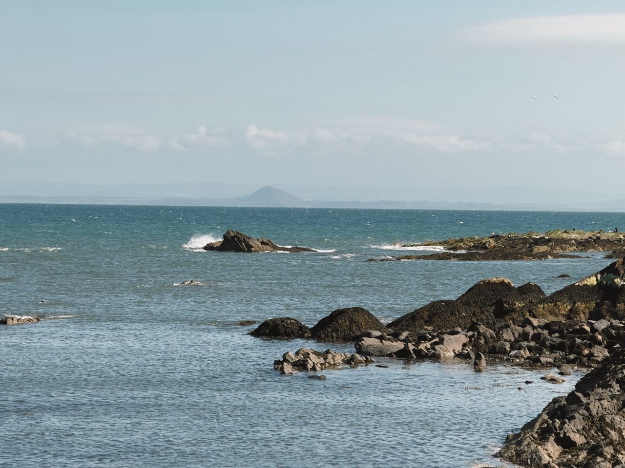 Pittenweem May 2025 5 Large