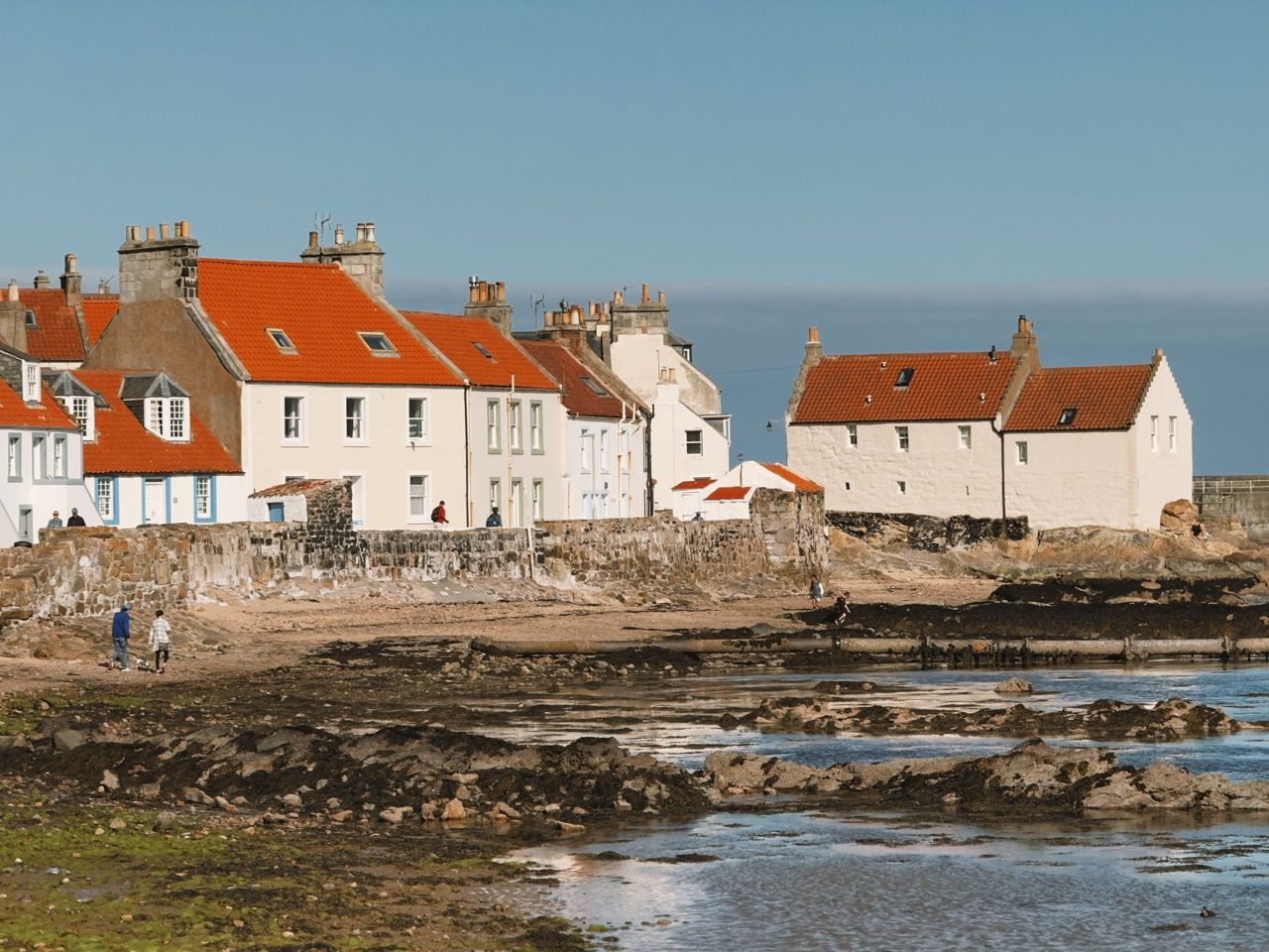 Pittenweem May 2025 7 Large