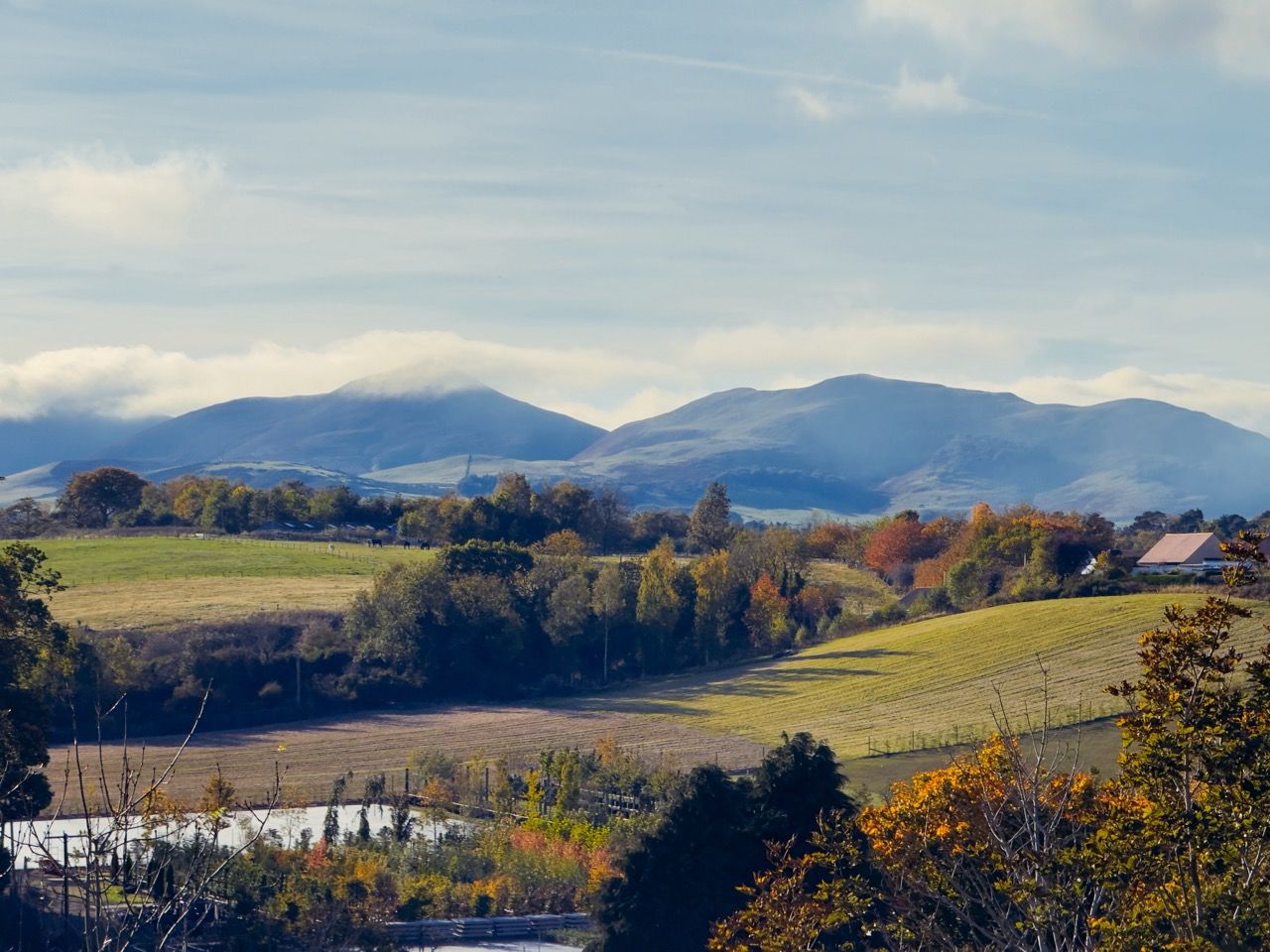 Rosslyn Glen Country Park Oct 25 5 Large 1