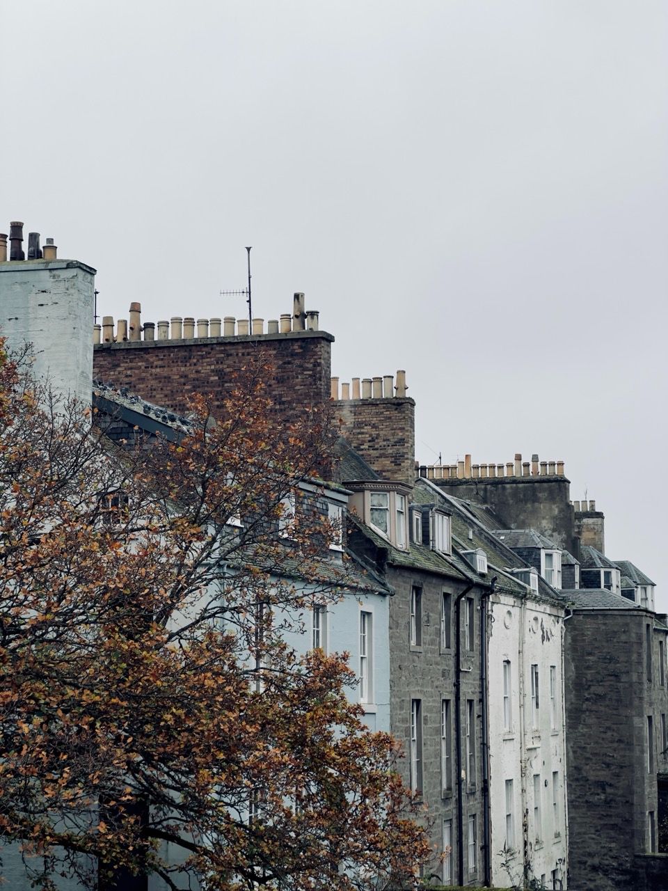 colorful houses Perth River Tay autumn Nov Large 1