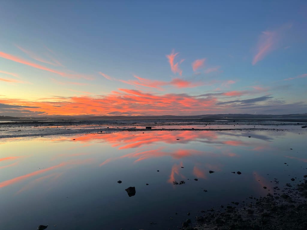 d65cf2de 5a79 46c1 b233 8c1772426f46