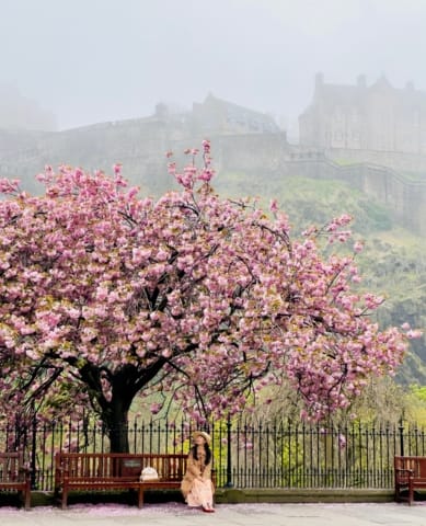 Princes Street