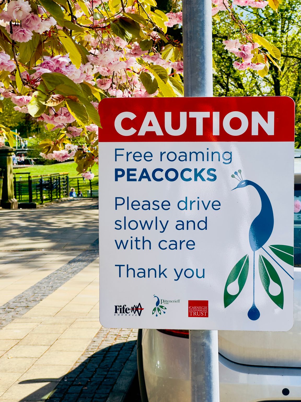 Dunfermline Dunfermline