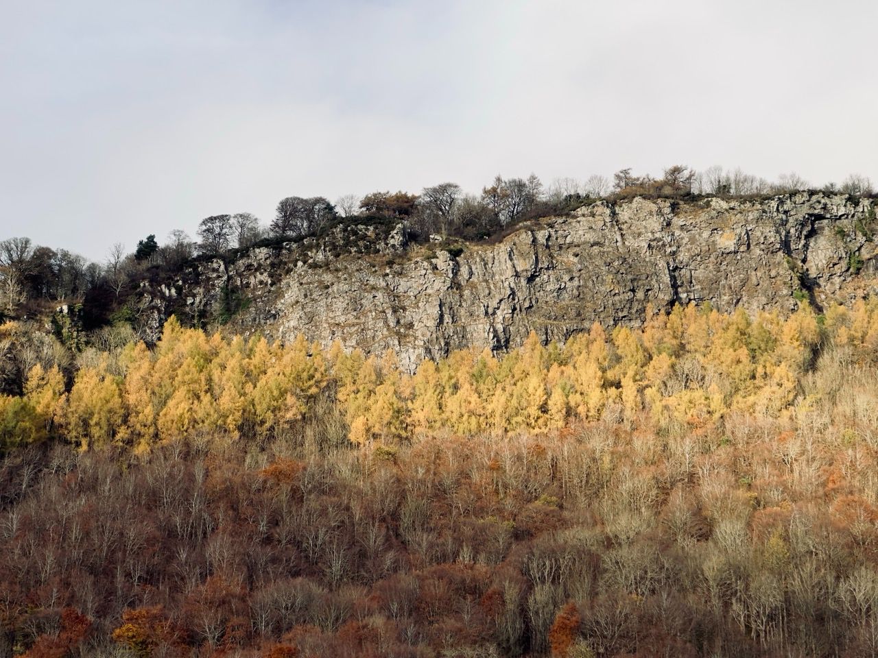 Khám phá Perth một cách tiết kiệm 5 Perth Kinfauns autumn Nov 3 Large