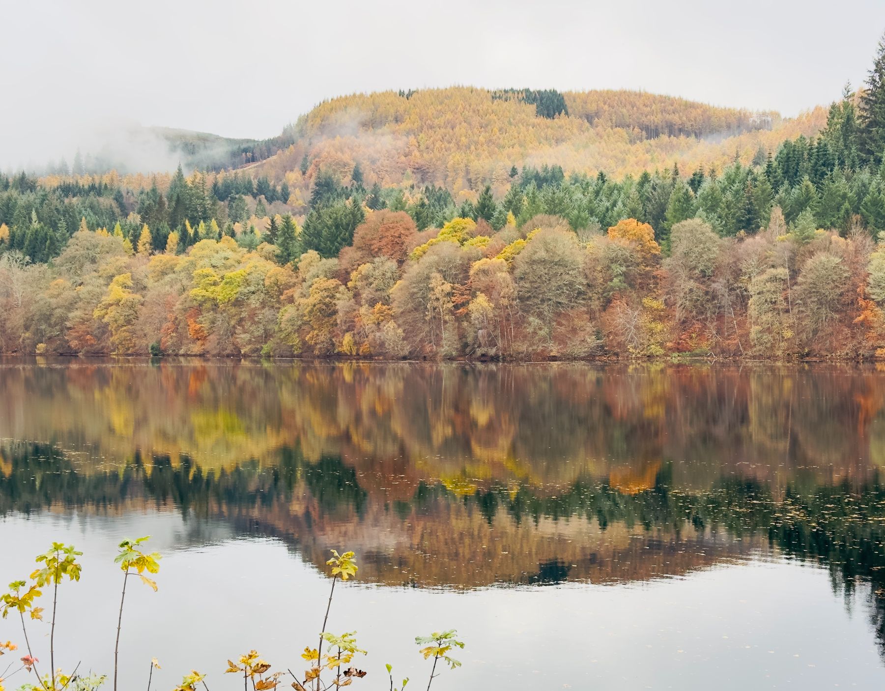 Mùa thu tại Pitlochry: Lịch trình 1 ngày bằng phương tiện công cộng từ Edinburgh 20 Green Park Hotel Pitlochry autumn November 2