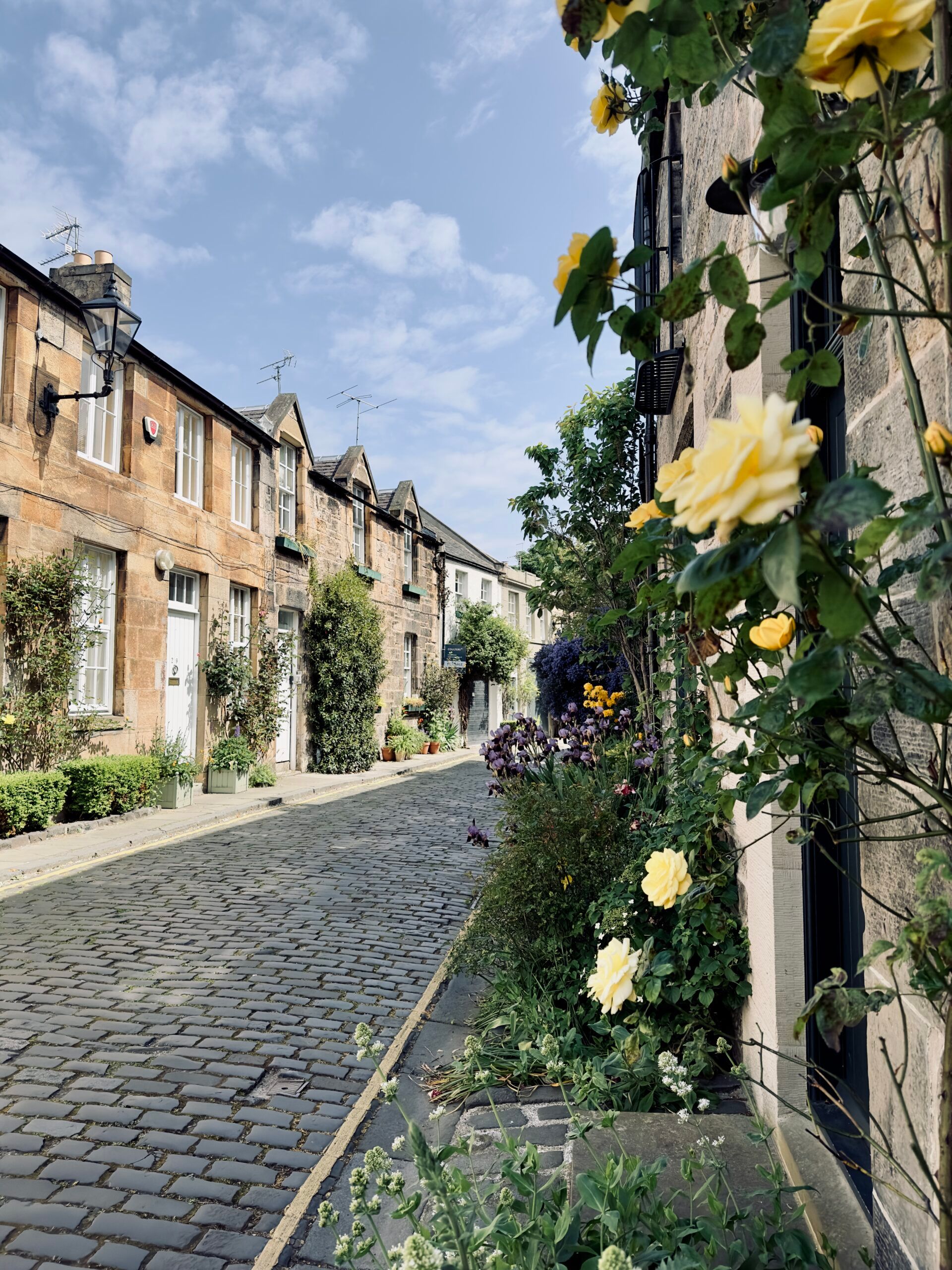 Circus Lane