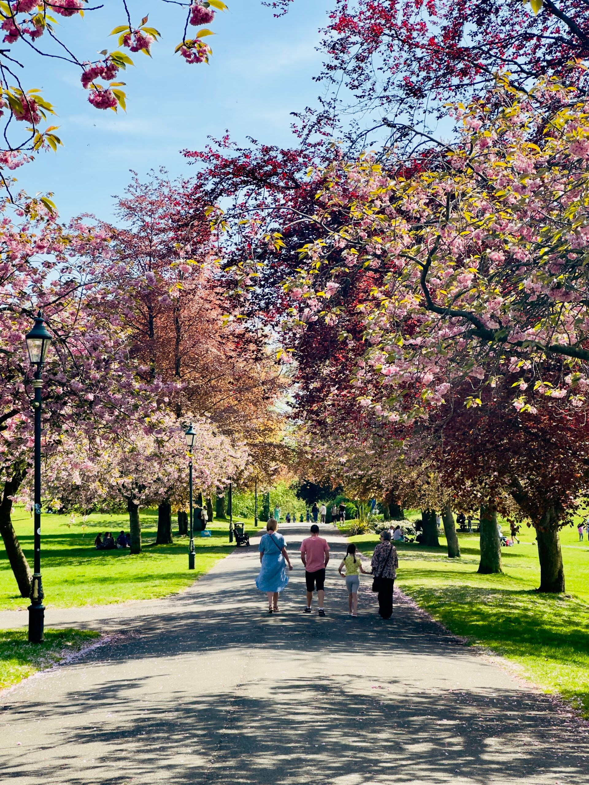 Pittencrieff Park, Dunfermline