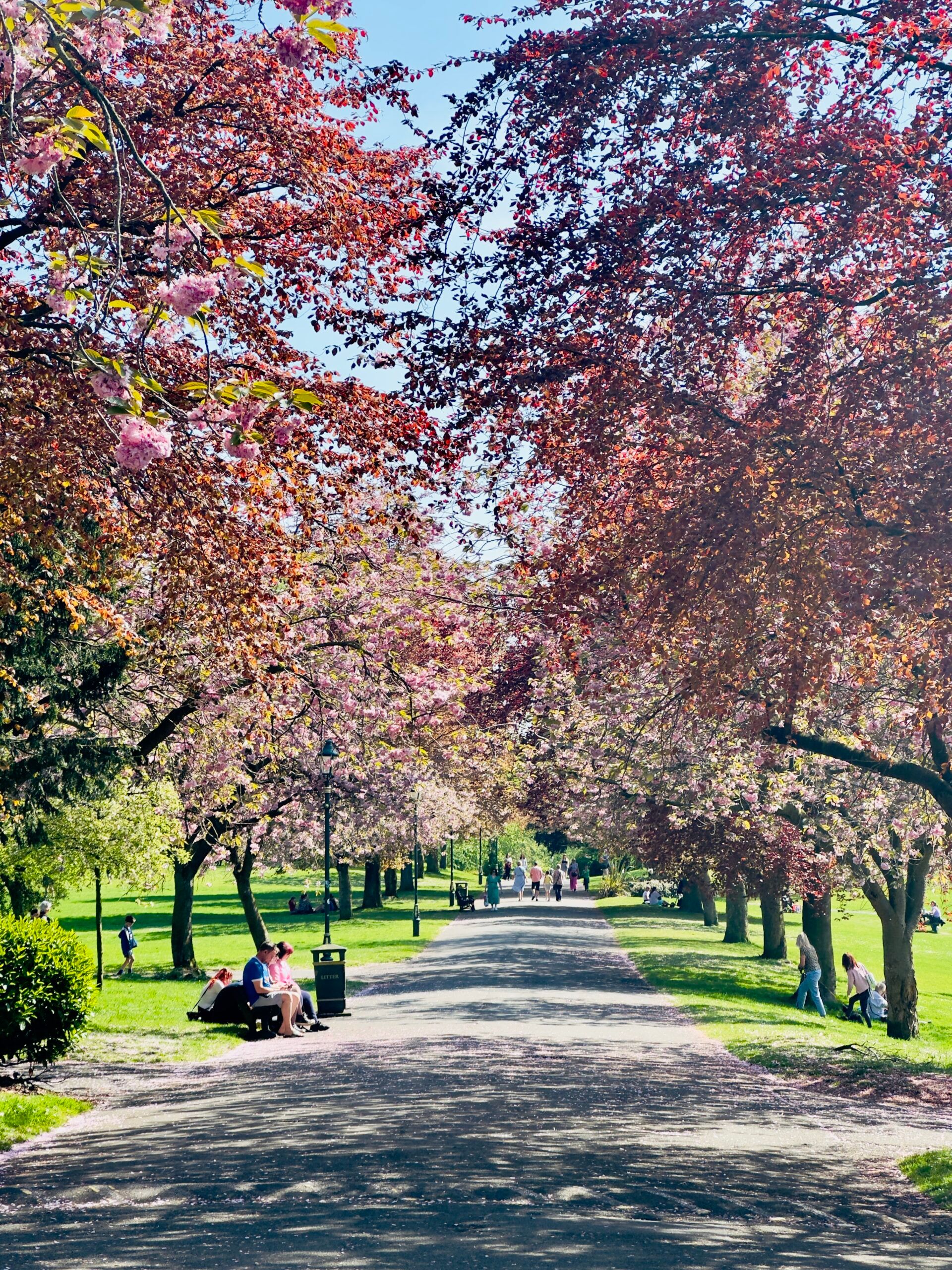 Pittencrieff Park, Dunfermline