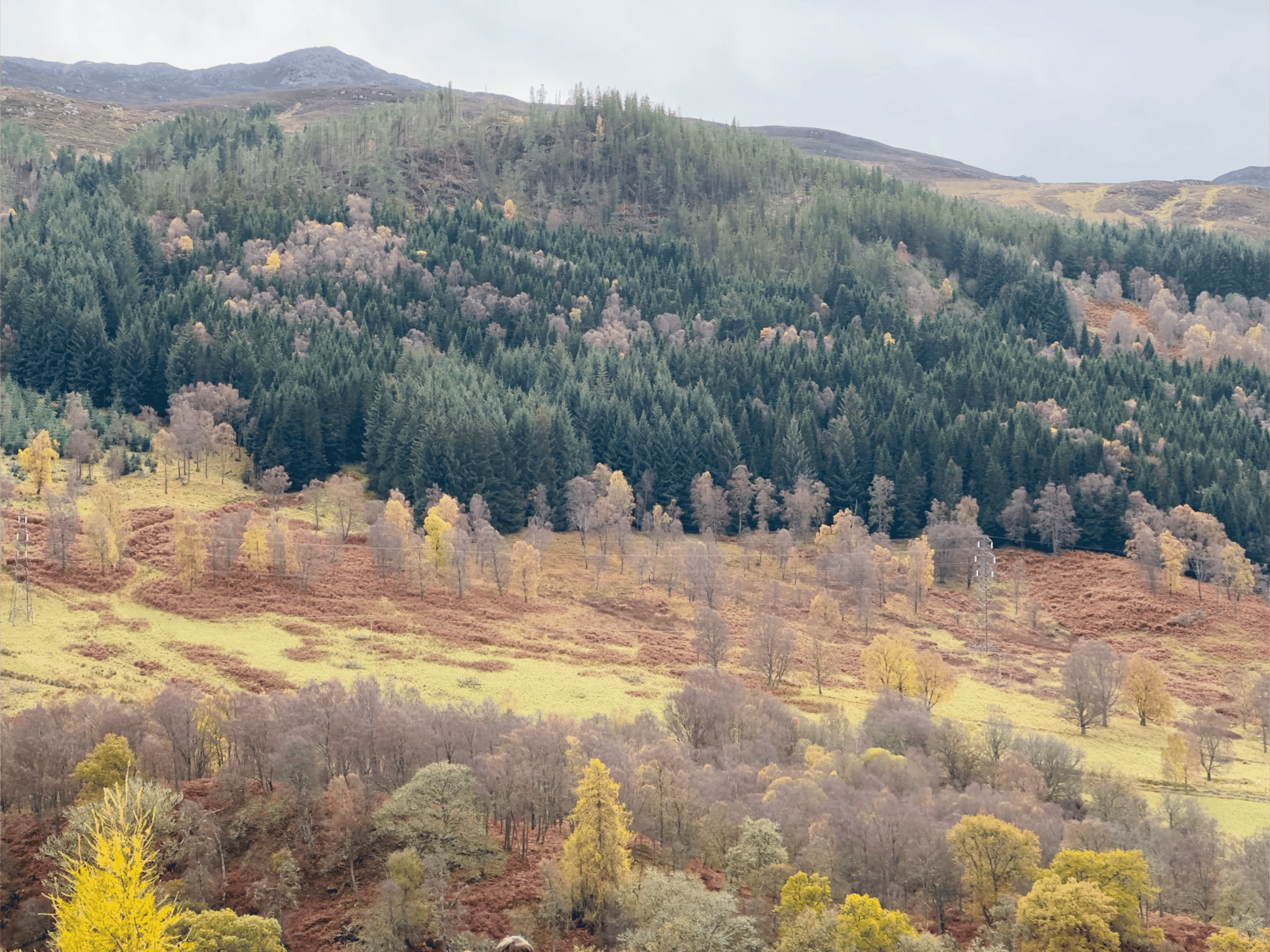 Mùa thu tại Pitlochry: Lịch trình 1 ngày bằng phương tiện công cộng từ Edinburgh 14 Queen View Pitlochry autumn November 17 scaled