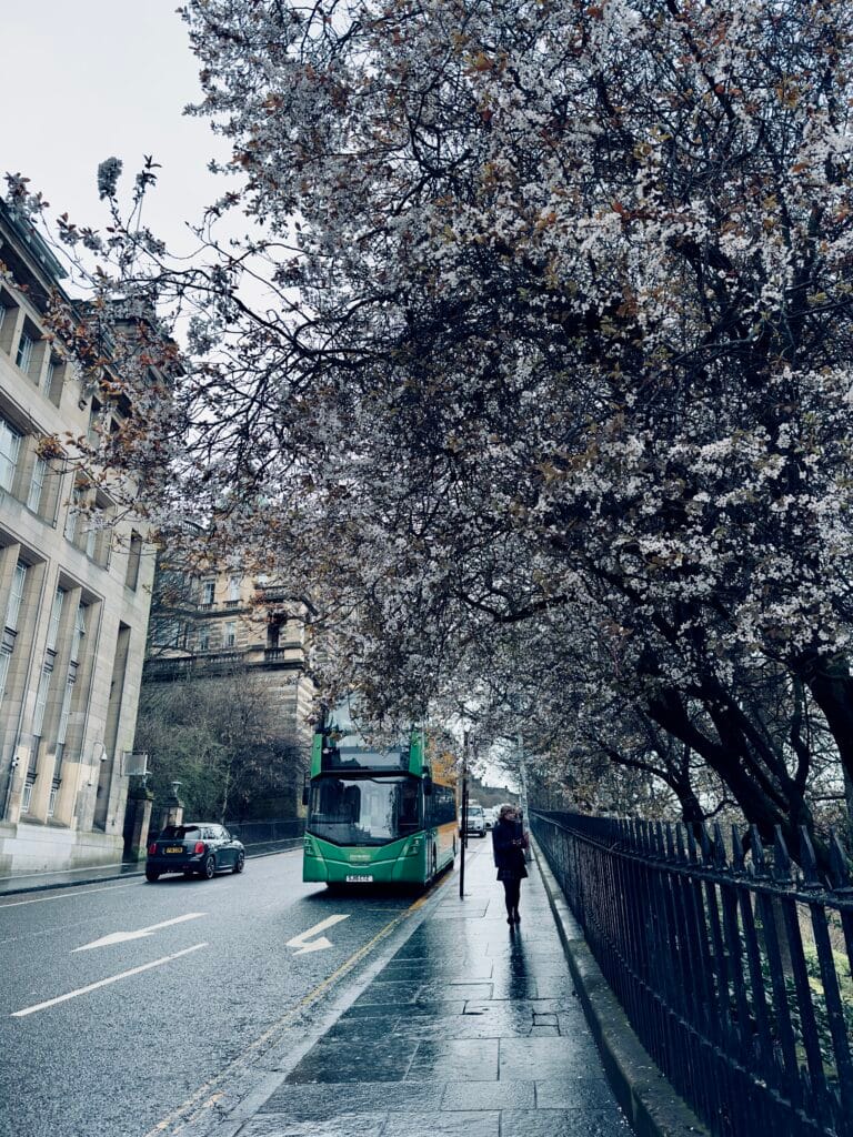 Top 6 must-see destinations in Edinburgh 5 IMG 2651